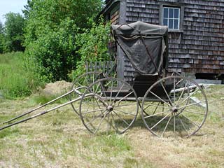 Buggy at Narramissic