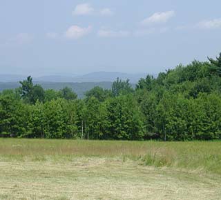 View from Narramissic parking