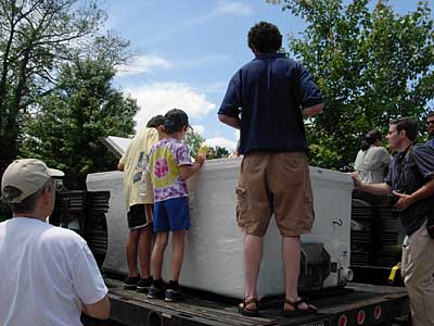 Looking in the tank of adult shad